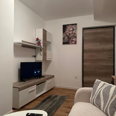 Apartment Bjelastay *